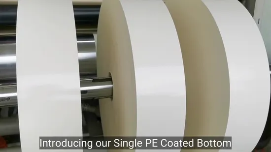 Automatic Paper Cake Pizza 4 6 Corners Box Bag Folder Gluer/ Folding Gluing Pasting Forming Making Machine Paper Carton Folding Gluing Machine Crash Lock Bottom